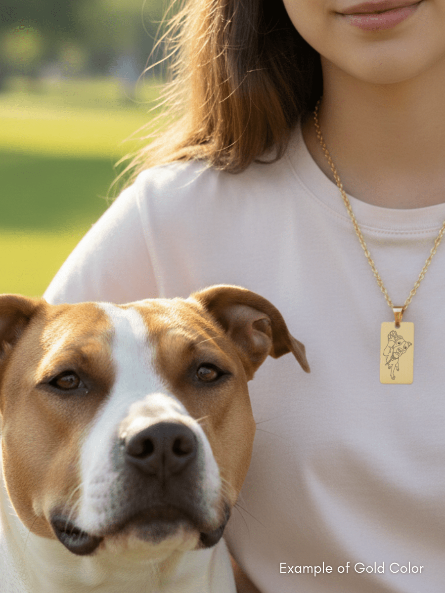 Pet Photo Engraved Tag Necklace